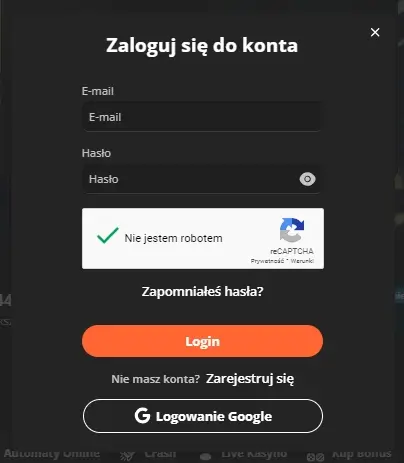 Formularz logowania BruceBet Casino